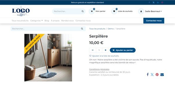 odoo_ecom_03