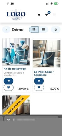 odoo_ecom_07
