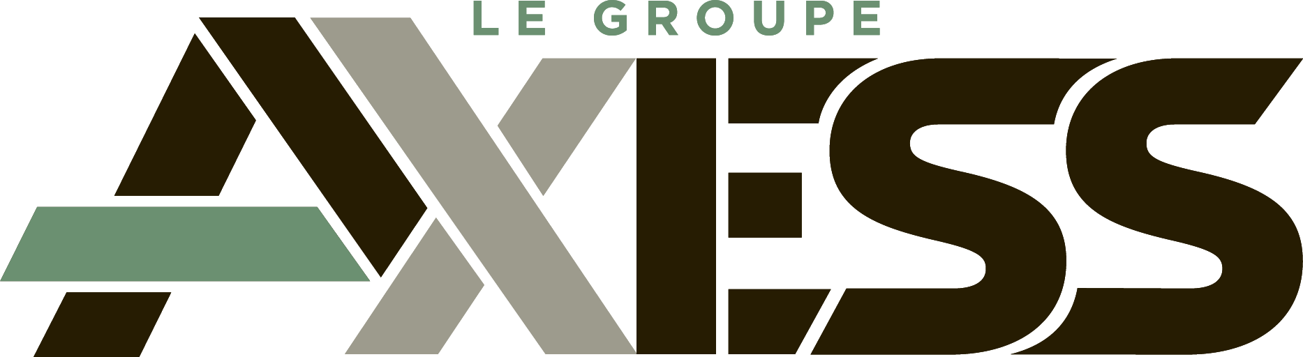 Logo Le Goupe Axess