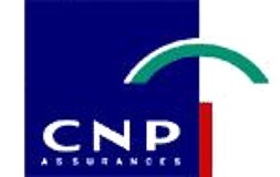 Logo CNP
